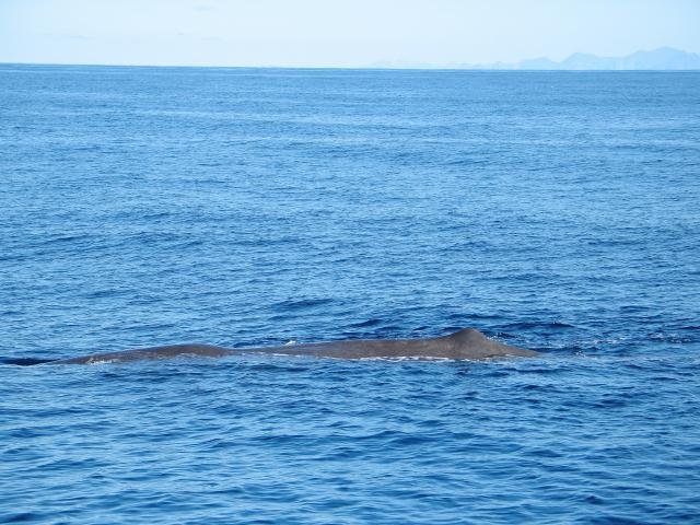 Urlaub in Norwegen 2006